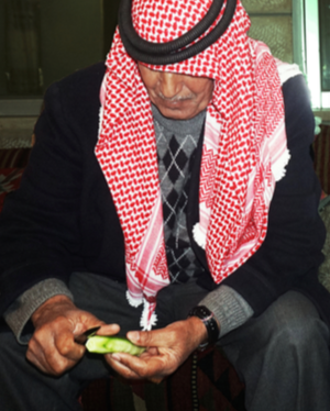 Photo 12 - Large (20 x 30 inches)