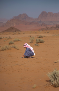 Photo 14 - Large (20 x 30 inches)