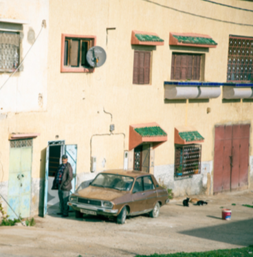 Photo 4 - 20 x 20 inches